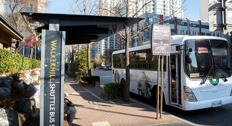 Complimentary Shuttle Bus Stop Photo