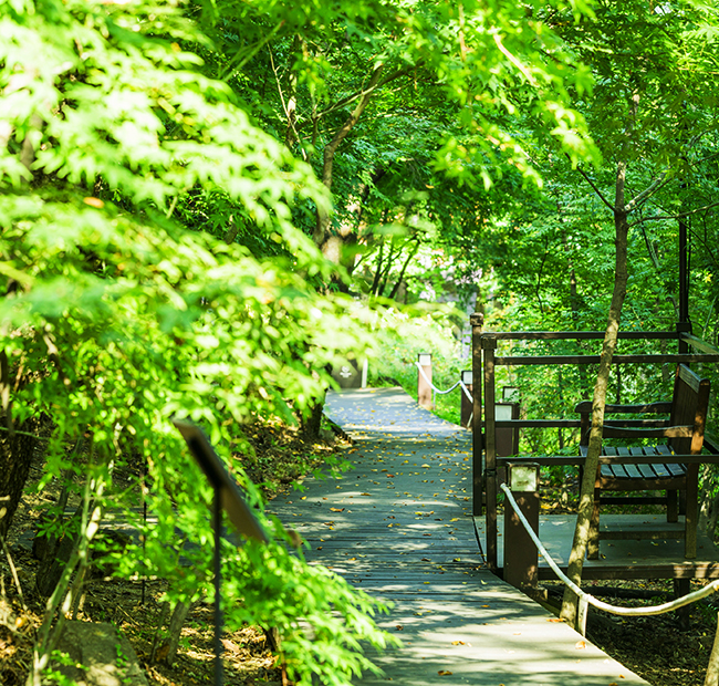 华克山庄步道