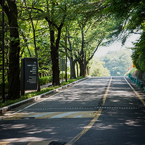 Walkerhill Jogging Course