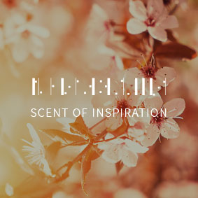 NEW BRANDING 이미지