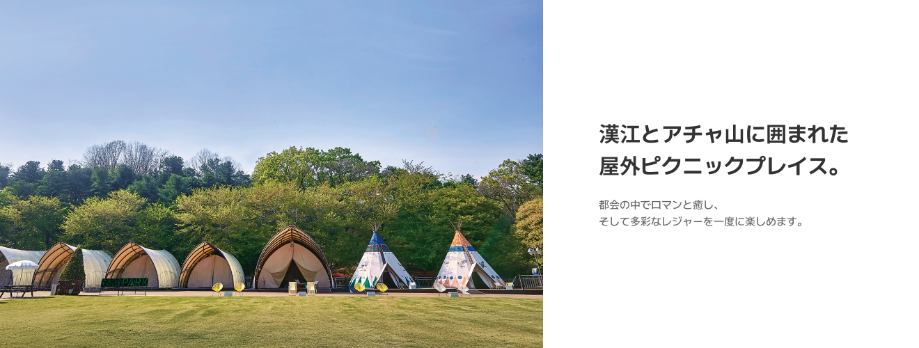 漢江とアチャ山に囲まれた屋外ピクニックプレイス。