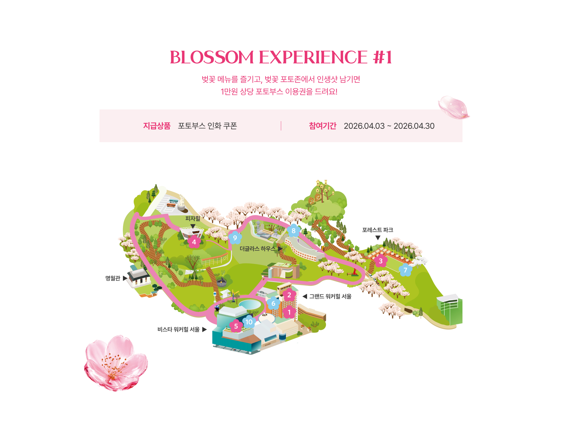 blossom exprience #1