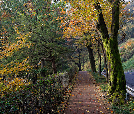 JOGGING COURSE