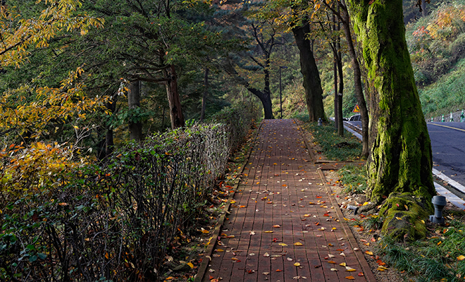 Jogging Course