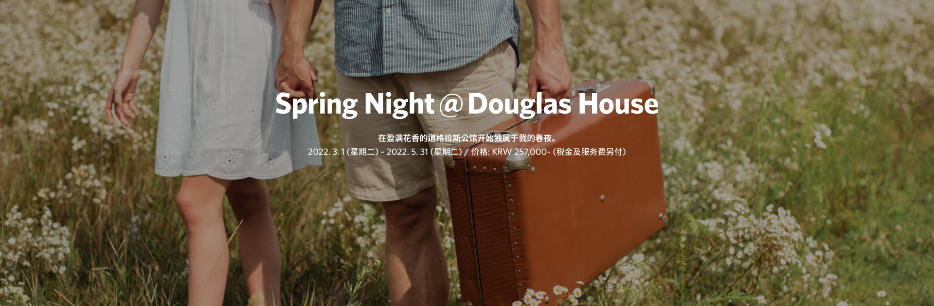 Spring Night