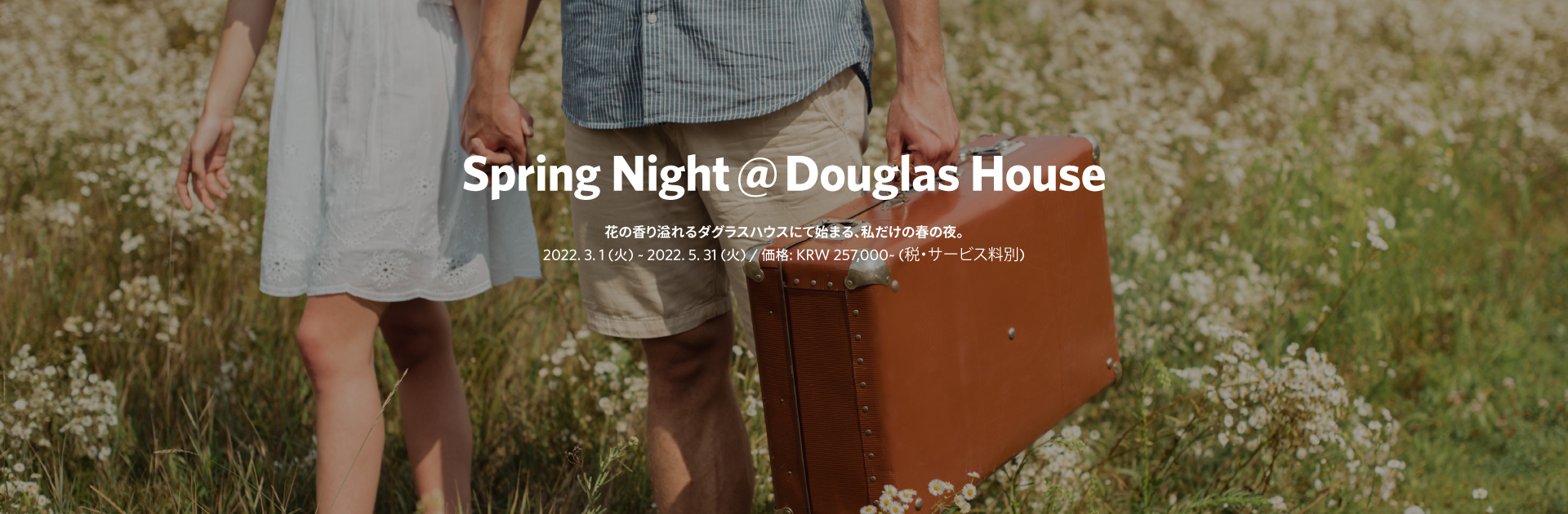 Spring Night