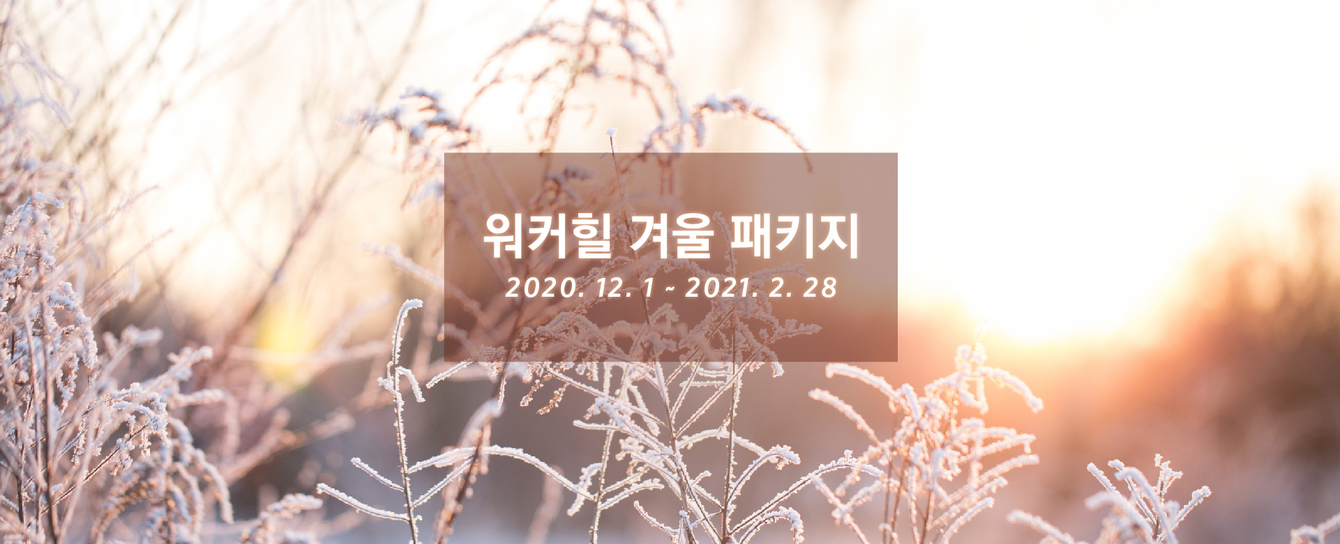 워커힐 기획전