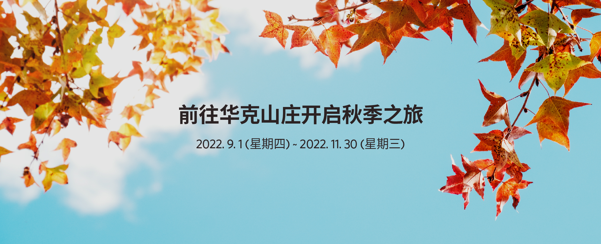 워커힐 기획전